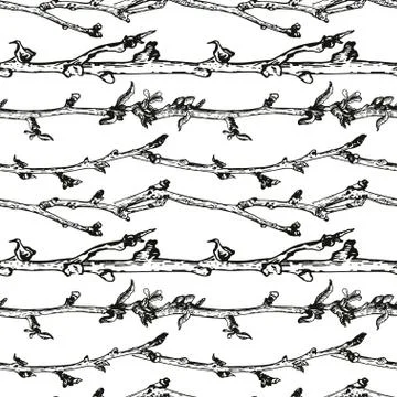 Apple tree sketch Stock Illustration