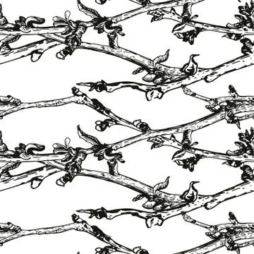 Apple tree sketch Stock Illustration