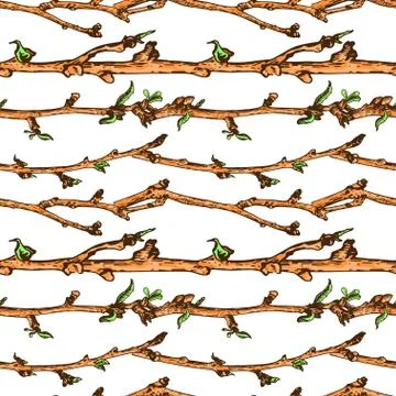 Apple tree sketch Pattern  Stock Illustration