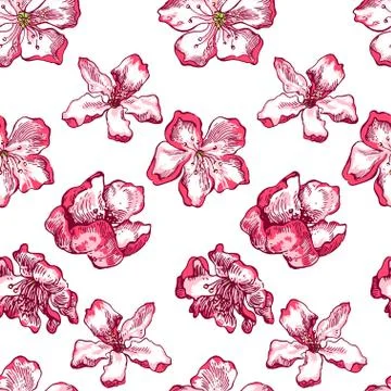 Apple tree sketch Pattern  Stock Illustration