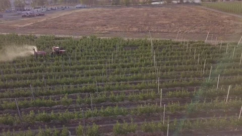 Apple tree spraying with a tractor. Drone Aerial Footage of Tractor Spraying Stock Footage 143629953