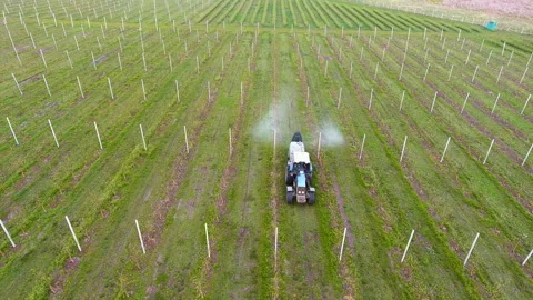 Apple tree spraying with a tractor Stock Footage 93898880