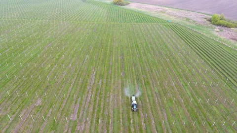 Apple tree spraying with a tractor 스톡 동영상 93899643