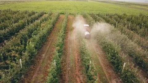 Apple tree spraying with a tractor Stock Footage 94928974