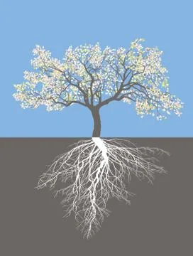 Apple tree in spring with roots Stock Illustration