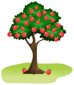 Apple tree vector drawing on isolated white background plant fruit cartoon food Stock Illustration