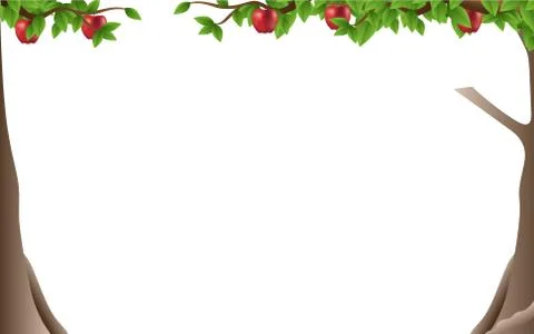 Apple tree on the white background Stock Illustration