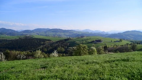 Apple trees in blossom in the austrian disctrict mostviertel Stock Footage 126890729