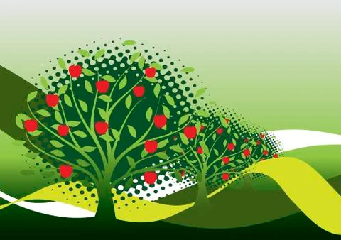 Apple trees Stock Illustration