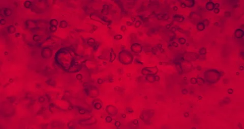 Apple under a microscope with floating germs and microbes. Thriller red filter Stock Footage 189588766