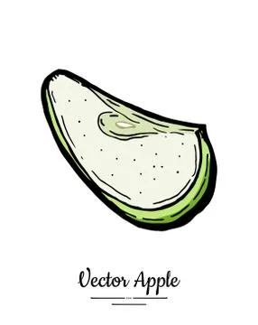Apple vector isolated. Green fruit hand drawn illustration. Trendy food veget Stock Illustration