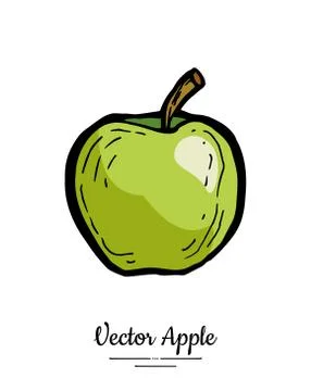 Apple vector isolated. Green fruit hand drawn illustration. Trendy food veget Stock Illustration