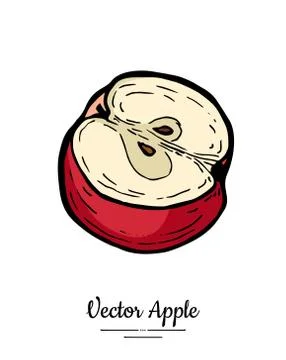 Apple vector isolated. Red fruit hand drawn illustration. Trendy food vegetar Stock Illustration