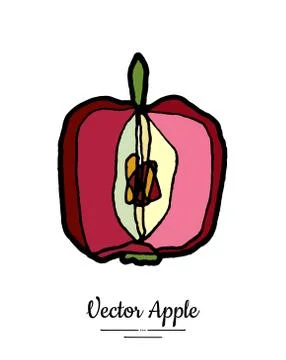 Apple vector isolated. Red fruit hand drawn illustration. Trendy food vegetar Stock Illustration