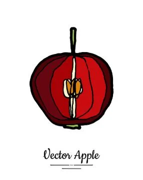 Apple vector isolated. Red fruit hand drawn illustration. Trendy food vegetar Illustrazione stock