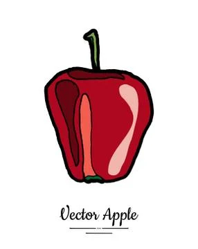 Apple vector isolated. Red fruit hand drawn illustration. Trendy food vegetar Stock Illustration