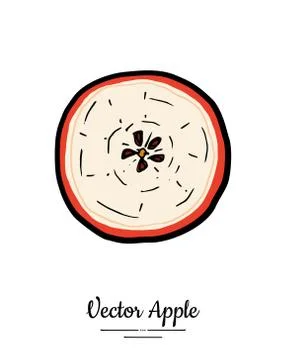 Apple vector isolated. Red fruit hand drawn illustration. Trendy food vegetar Stock Illustration
