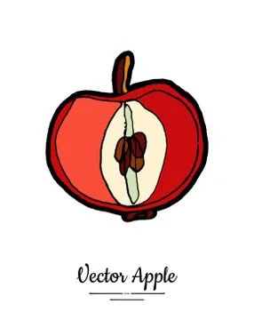 Apple vector isolated. Red fruit hand drawn illustration. Trendy food vegetar Stock Illustration
