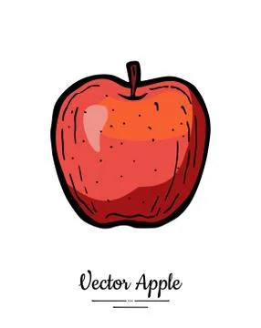 Apple vector isolated. Red fruit hand drawn illustration. Trendy food vegetar Stock Illustration