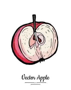 Apple vector isolated. Red fruit hand drawn illustration. Trendy food vegetar Stock Illustration
