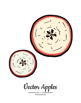 Apple vector isolated. Red fruit hand drawn illustration. Trendy food vegetar Stock Illustration
