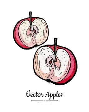 Apple vector isolated. Red fruit hand drawn illustration. Trendy food vegetar Stock Illustration
