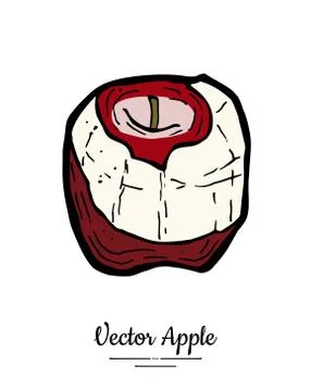 Apple vector isolated. Red peeled fruit hand drawn illustration. Trendy food  Stock Illustration