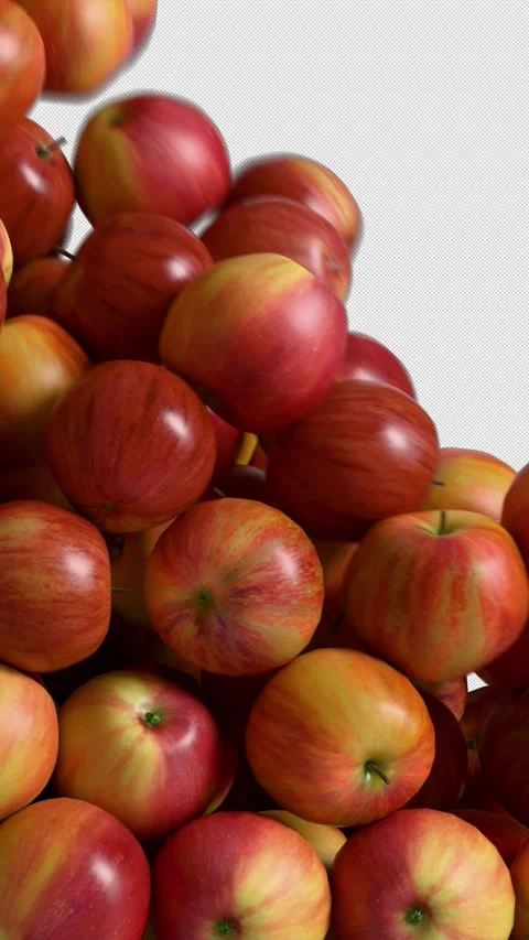 Apple Vertical Drop Transition with Alpha on Transparent Background. 3D 스톡 동영상 330070940