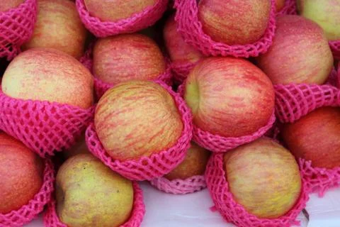 Apple is very palatable. Stock Photos