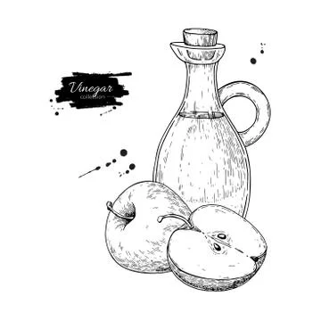 Apple vinegar vector drawing.  Hand drawn illustration. Glass bo Stock Illustration