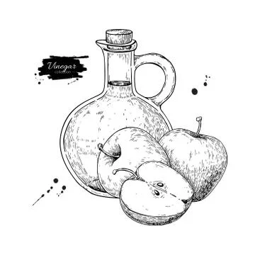 Apple vinegar vector drawing.  Hand drawn illustration. Glass bo Stock Illustration