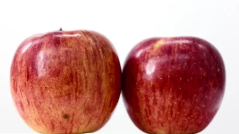  apple on white background Stock Footage 92601579