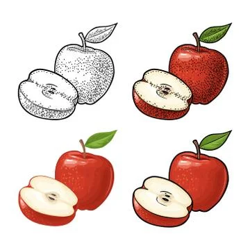 Apple whole and half with leaf. Vintage color engraving and flat Stock Illustration