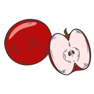 Apple, whole and half, vector. Set of red apples. A product of farming. Illustrazione stock