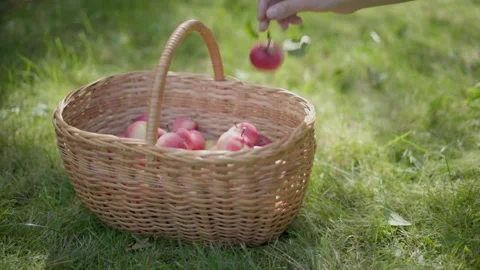 Apple in wicker basket. Stock Footage 138204772