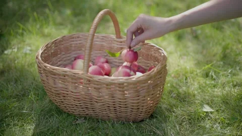 Apple in wicker basket. Stock Footage 138205268