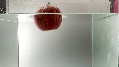 Apple4-2 Stock Footage 135173826