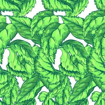 Appleflower Sketch Pattern Stock Illustration