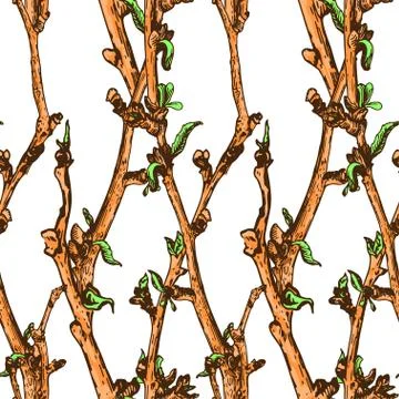 Appleflower Sketch Pattern Stock Illustration