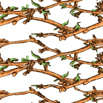 Appleflower Sketch Pattern Stock Illustration