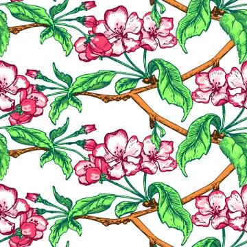 Appleflower Sketch Pattern Stock Illustration