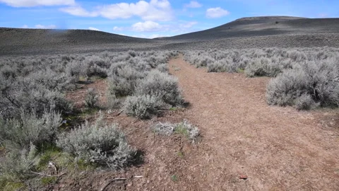 Applegate Trail branch of the California Trail Stock Footage 165248730