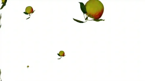 Apples 1 Stock Footage