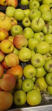 Apples (3) Stock Photos