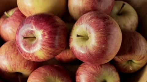 Apples from above Video stock 12013612