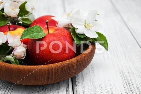 Apples and apple tree blossoms Stock Photos