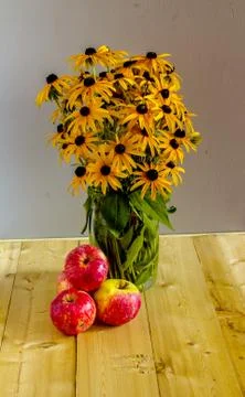 Apples and chamomiles. Stock Photos