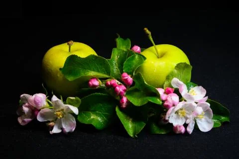 Apples and flowers Stock Photos