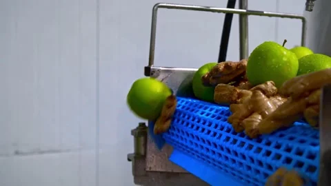 Apples and ginger fall off conveyor belt, automation to squeeze organic juice.  Stock Footage 131807542