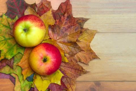 Apples and leaves Stock Photos